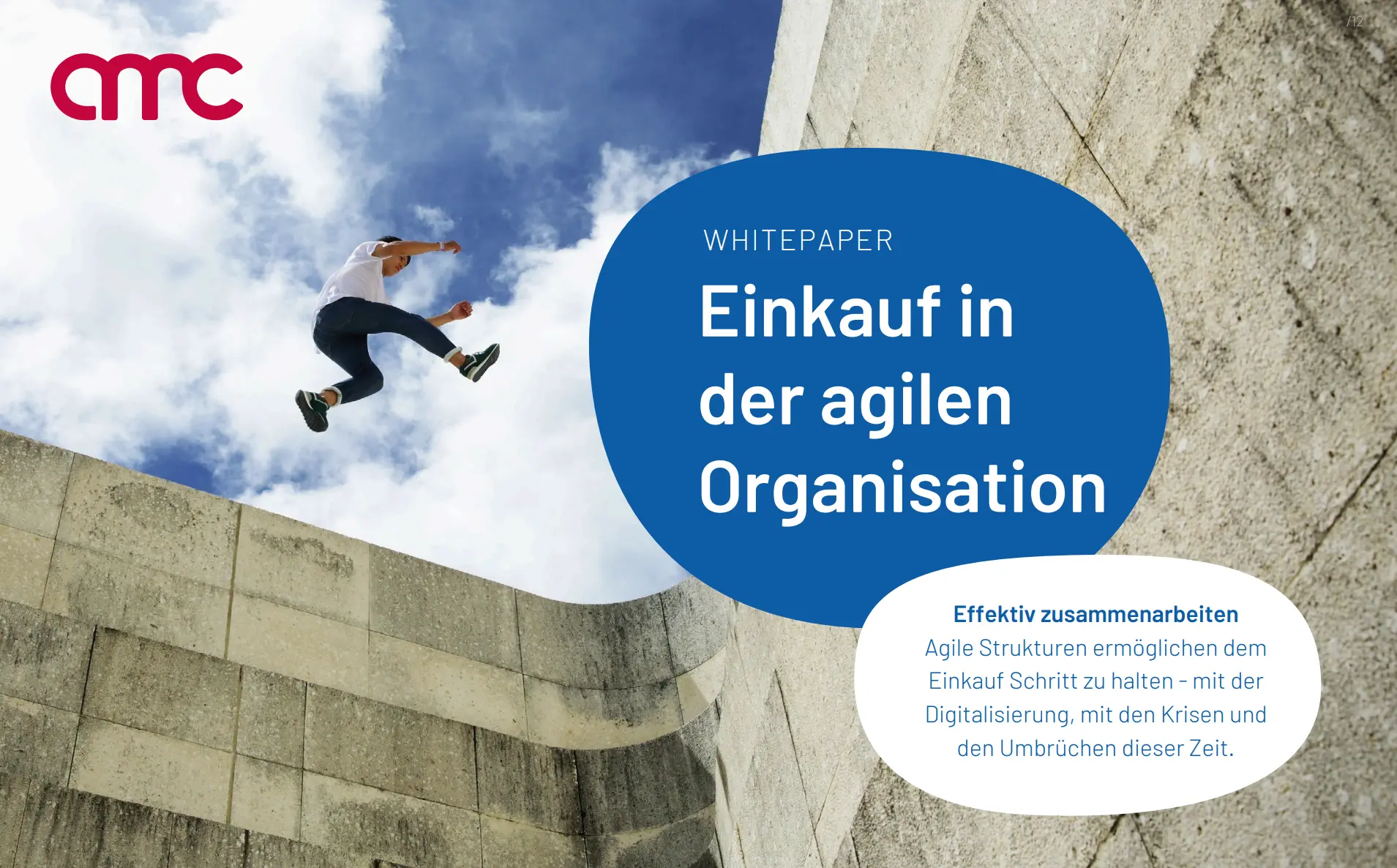 Einkauf in der agilen Organisation – amc Einkaufsberatung & Supply ...